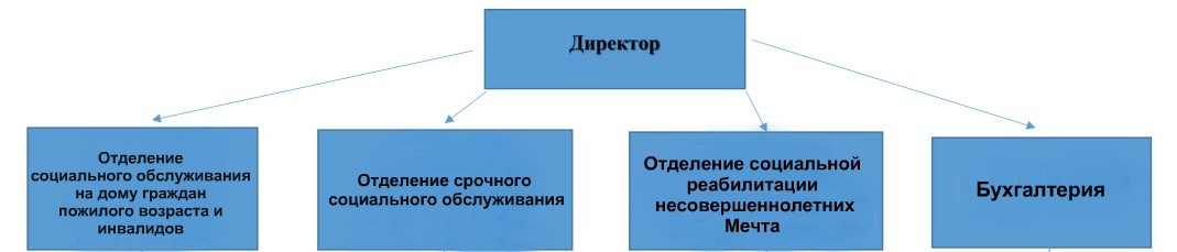 Структура организации